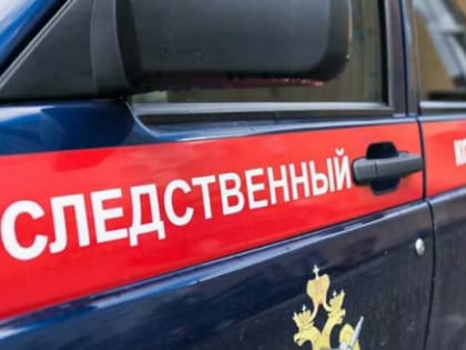 Бродячая собака укусила школьника в Троицке