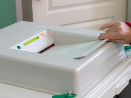 Эксперты оценили первый опыт онлайн-голосования в Челябинской области