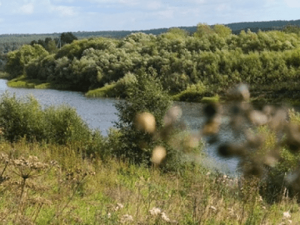 Прогноз погоды в Магнитогорске на 7 сентября 2024 года