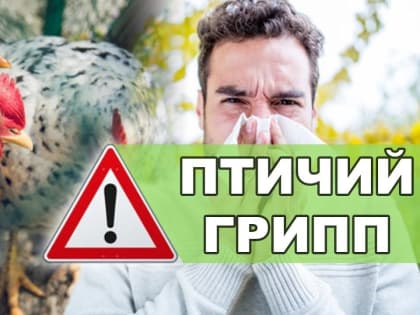 Опасность птичьего гриппа: как защитить себя и домашних птиц