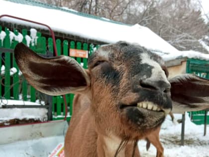 На Южный Урал идет полярный студеный воздух