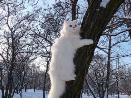 Ясная теплая погода сохраняется в Миассе