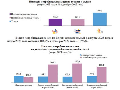 Бензин в Челябинской области подорожал на 9,5% с декабря 2022 года