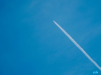 Путин снял запрет на полеты российских авиакомпаний в Грузию