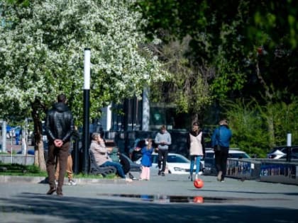 На Южном Урале температура воздуха поднимется до +15 градусов