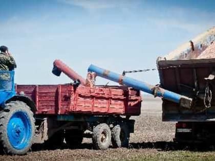 На Южном Урале первые субсидии аграриям направят уже в феврале