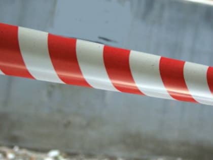 Обладательницу 40 земельных участков из Челябинска заставили выплатить ₽36 млн недоимок