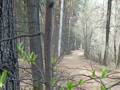 В понедельник в Челябинской области – сыро и ветрено