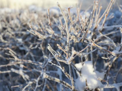 Холодный фронт на Урале: температура в Челябинской области опустится до -18 градусов