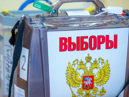 Челябинские эксперты прокомментировали возможное вмешательство в российские выборы