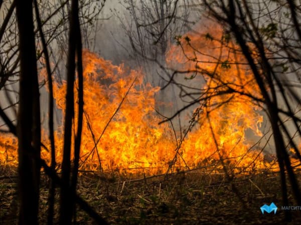 В Челябинской области завершился пожароопасный сезон
