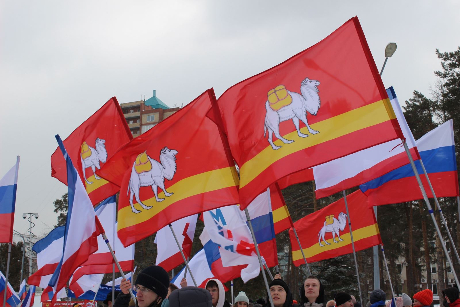 4 ноября челябинск. 4 Ноября праздник. Митинг воссоединение Крыма с Россией. Крым Севастополь воссоединение. День народного единства против.