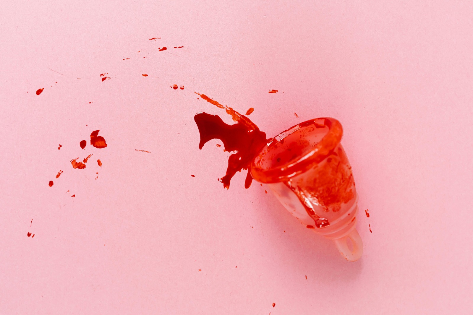 Courtesy–www.kaboompics.com