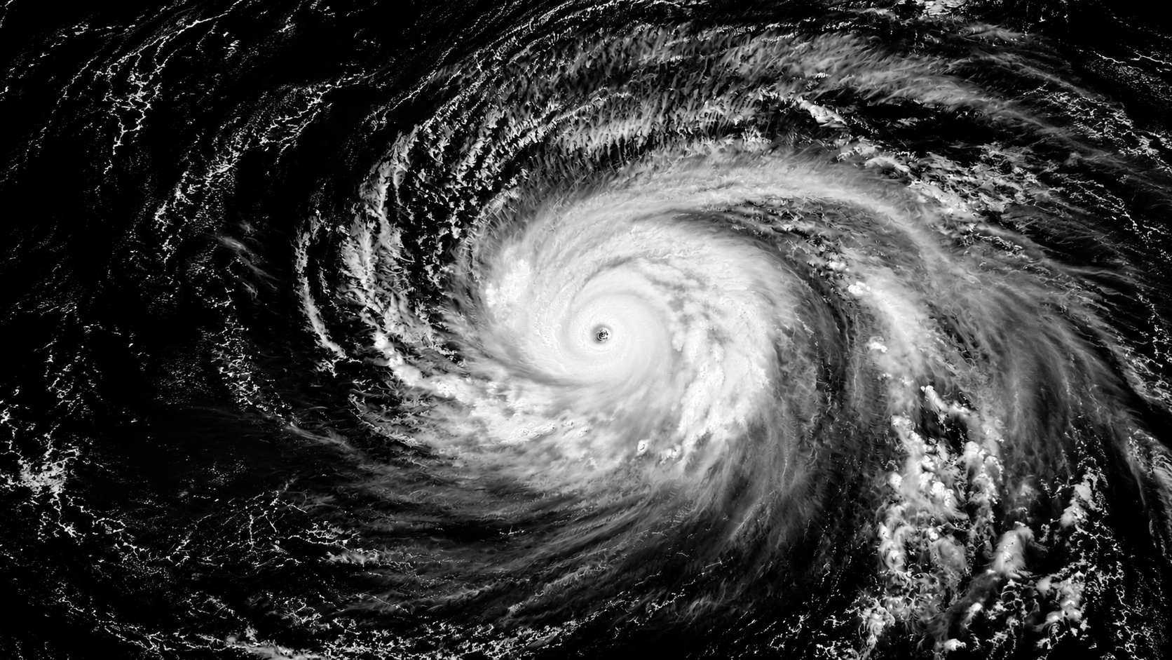 Typhoon Dolphin is a major tropical cyclone that has battered eastern and central China in August 2026.