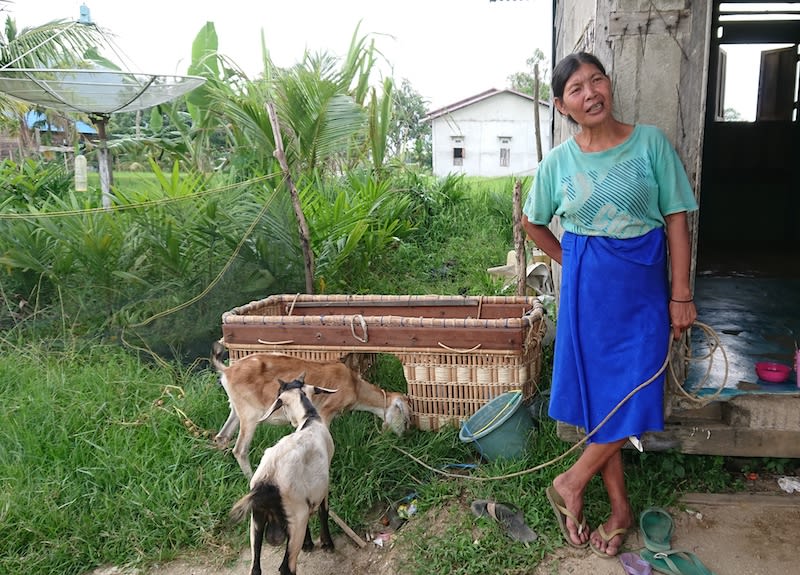 Program Kambing untuk Janda di ASRI