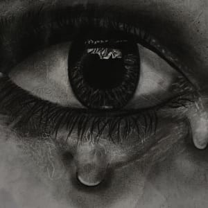 ff c2a309c28c653fe7235541429fef4d85 ff