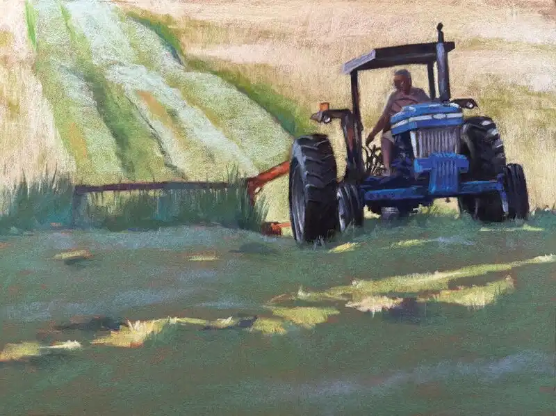 amber waves of grain