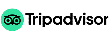 Art Tutor Hanoi on Tripadvisor