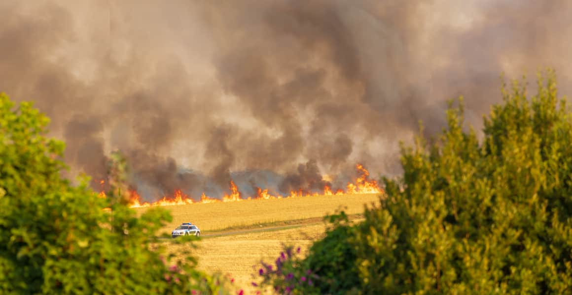 Activité partielle et incendies de forêt : le « zéro reste à charge » pour les PME est prolongé