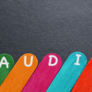 Audit