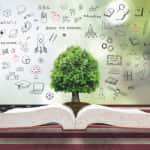 Apprentissage et contrats aidés