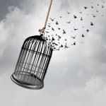 Libertés fondamentales, égalité, harcèlement et discrimination