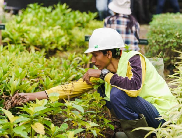 LPKR Berkomitmen Dalam Penghijauan Kawasan Kota Mandiri