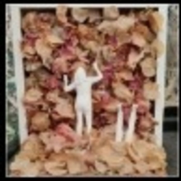 Figuras entre pétalos secos