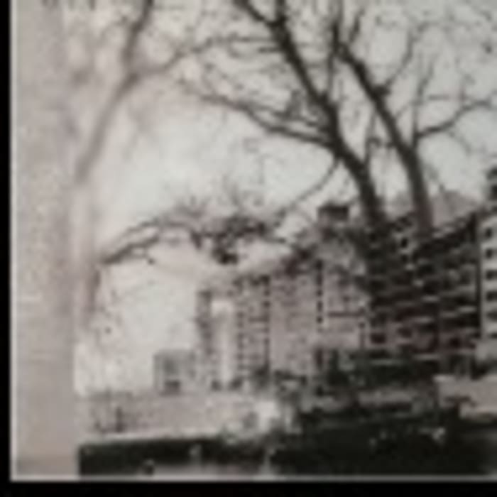 Foto de árboles y edificios