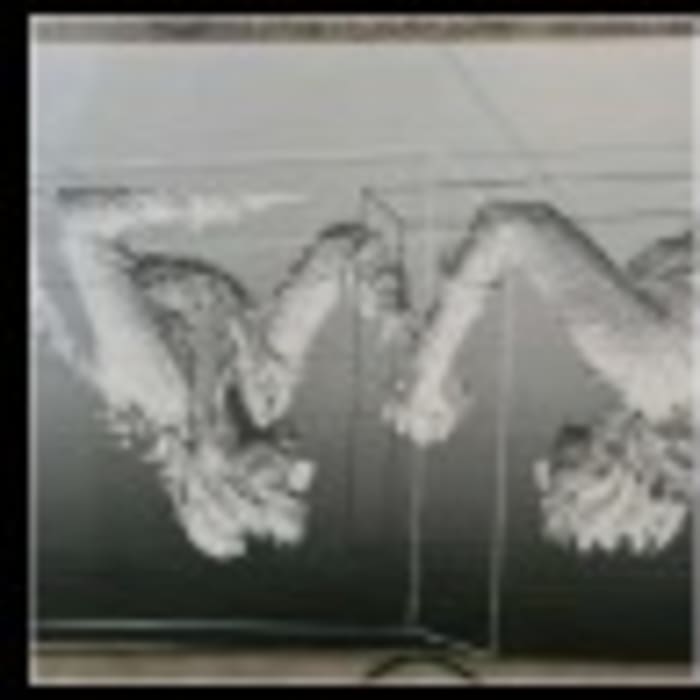 Grabado de piernas, blanco/negro