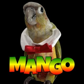 Adam M & Mango