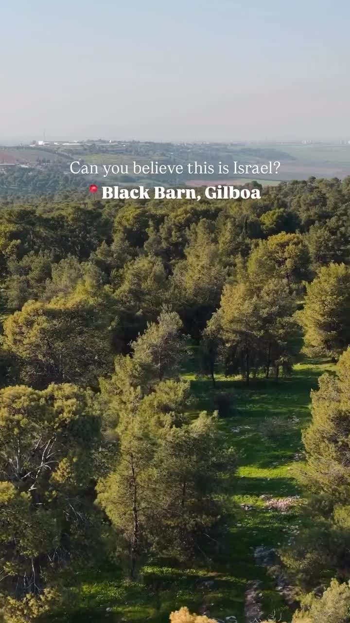 Unique Souvenirs and Prints from Israel