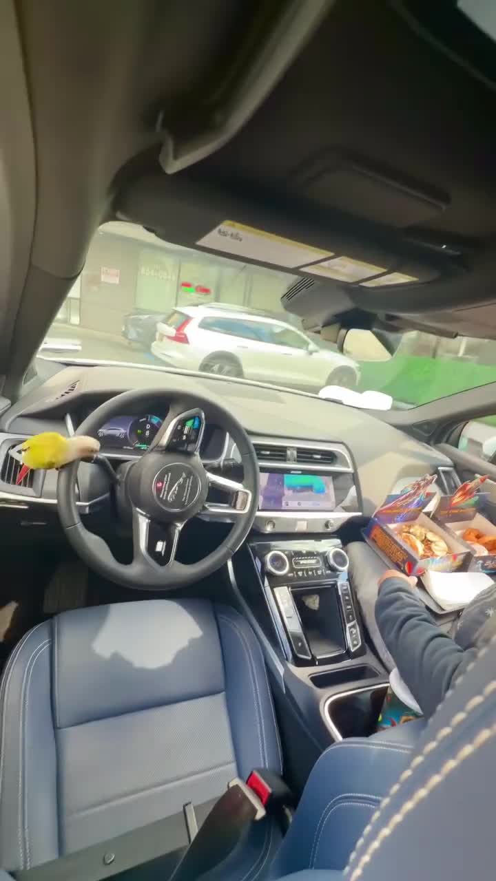 Content collaboration / Work with Mango