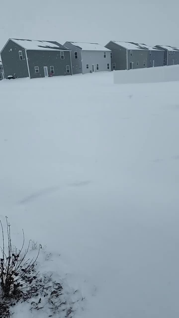 Epic Birthday DJ Services