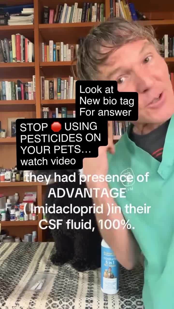 Health Tested Puppies