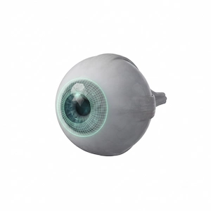 Ophthalmologist Surgery & Cornea Transplant