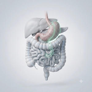Gastro Surgery