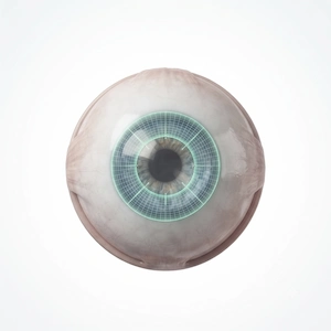 Cornea Transplant Surgery