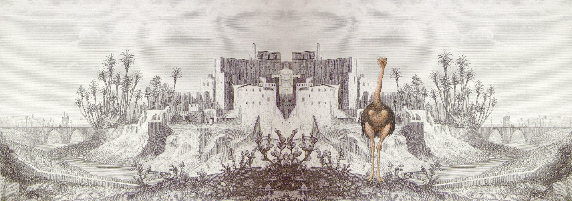 landscape image