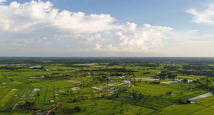 Scaling Precision Agriculture Across Three States