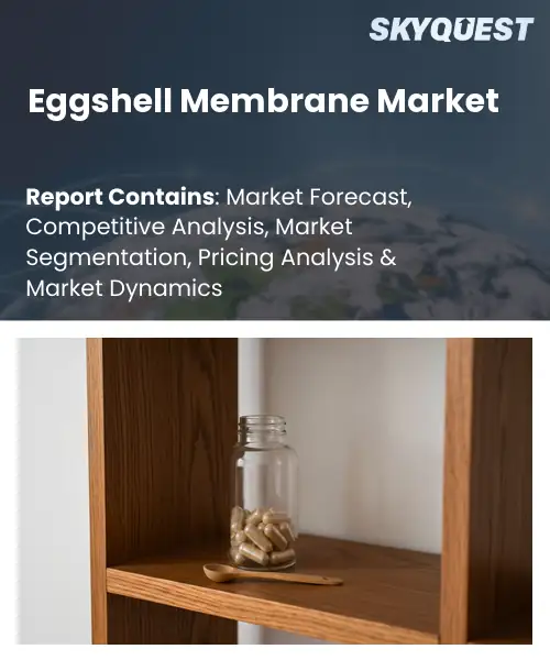Report