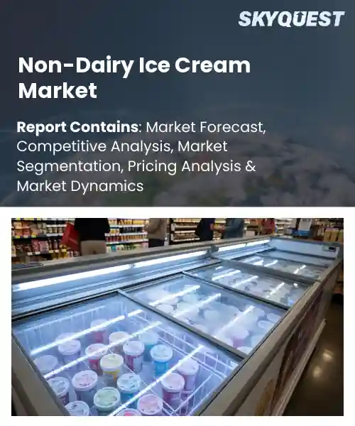 Non-Dairy Ice Cream Market