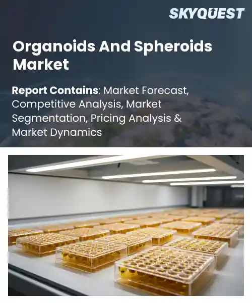 Organoids And Spheroids Market