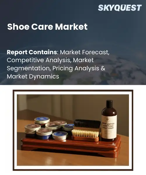 Shoe Care Market