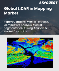 Global LiDAR in Mapping Market
