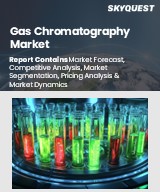 Global Gas Chromatography Market