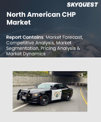 North America CHP Market