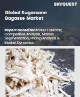 Global Sugarcane Bagasse Market