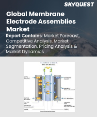 Global Membrane Electrode Assemblies Market