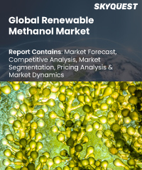 Global Renewable Methanol Market